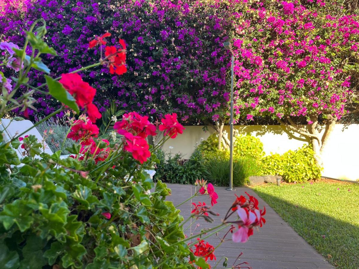 Ferienwohnung Dream Garden Santa Cruz de Tenerife Exterior foto