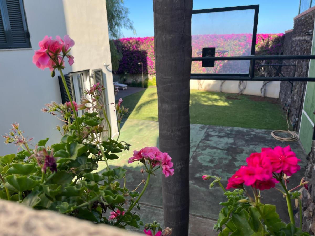 Ferienwohnung Dream Garden Santa Cruz de Tenerife Exterior foto